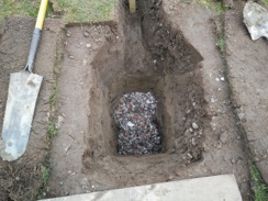 Picture6
