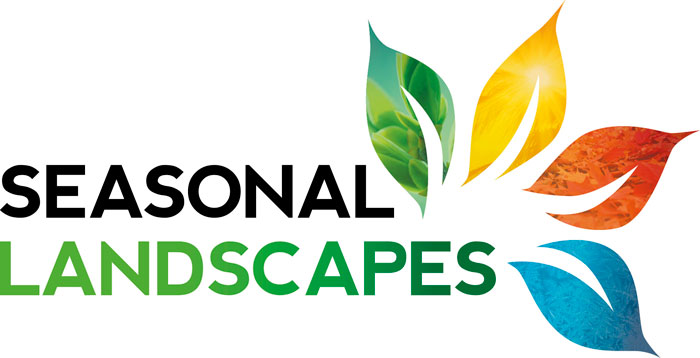 Seasonal Landscapes